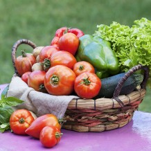 Cabaz de Legumes e Verduras (5kg)